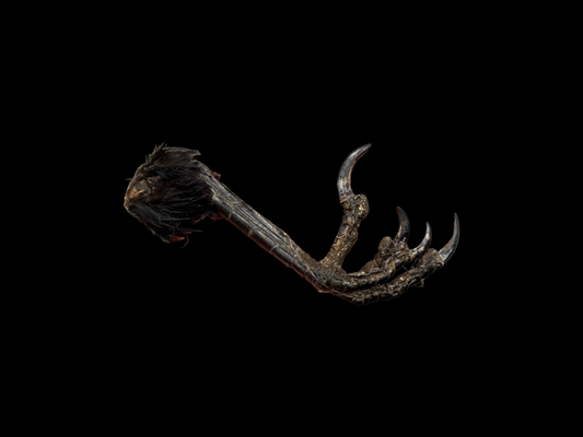 Carrion Crow Claw